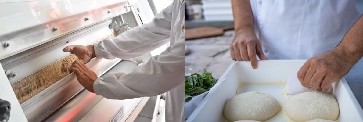 New York's bromate ban highlights what Caputo Flour has always done differently